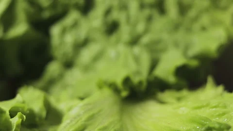 Closeup footage of camera slowly moving, organic and healthy eating, fresh le Stock-Footage 130239092