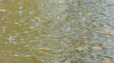 Closeup footage rain on water surface Stockbeeldmateriaal 68638028
