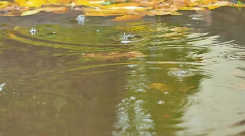 Closeup footage rain on water surface Stockbeeldmateriaal 68639910