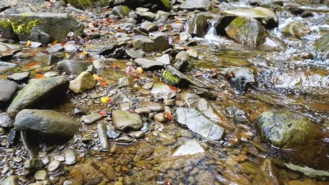 Closeup footage of streaming mountain river, slow motion 스톡 동영상 119962202
