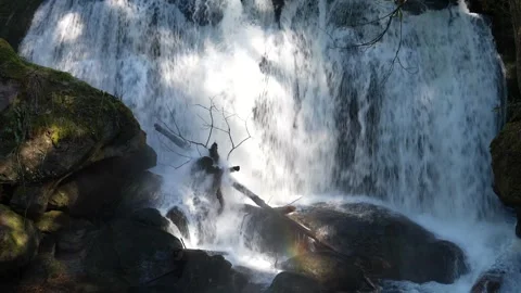 Closeup Forest Waterfall, Washington, Pacific Northwest Stock Footage 341366508