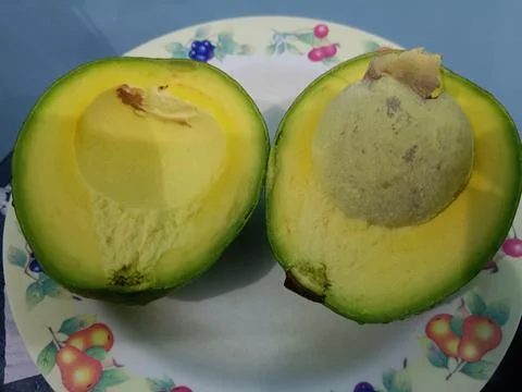 Closeup of a fresh avocado cut in half Foto stock