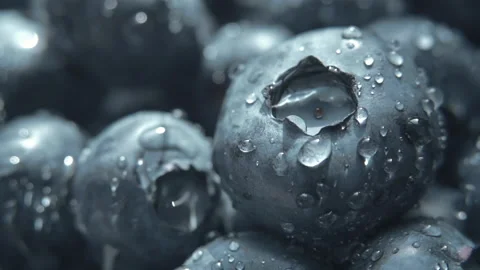 Closeup of fresh blueberry. Macro Stock Footage 201166438