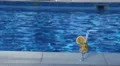 Closeup of fresh cocktail near swimming pool, alcoholic beverage HD Footage