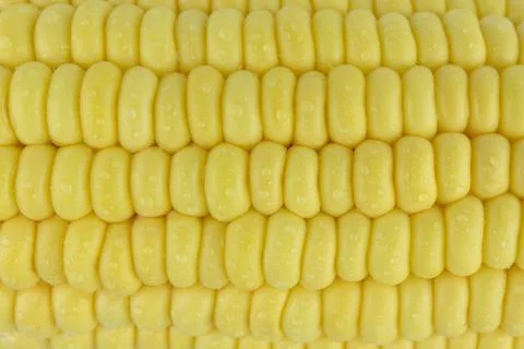 Closeup Fresh Corn background Foto stock