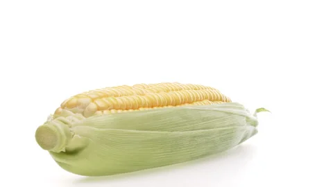 Closeup of fresh corn ear with leaves rotating on white background. Stock Footage 159159871