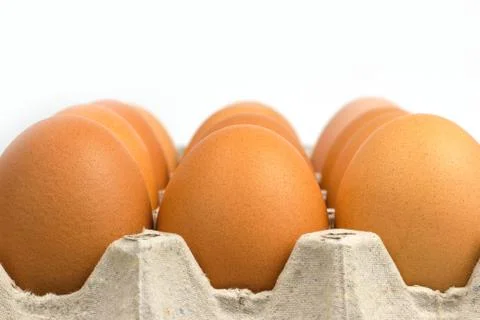 Closeup fresh egg in paper panel. Stock Photos