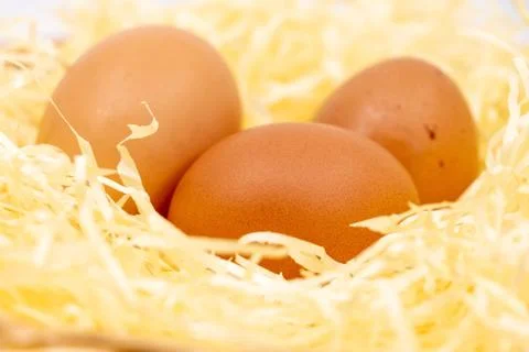 Closeup on fresh eggs in straw Stock Photos