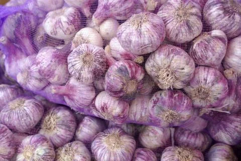 Closeup of fresh garlic in nets Stock Photos