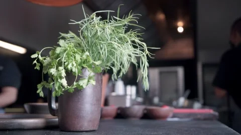 Closeup of Fresh Herbs With Chef Preparing Food in Modern Restaurant Kitchen Stock Footage 336035762