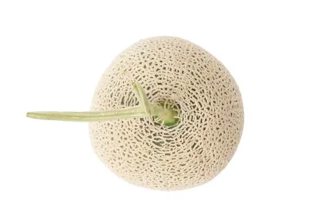 Closeup of fresh melon Stock Photos