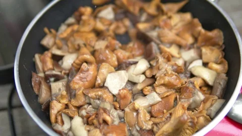 Closeup of fresh mushrooms on a griddle Stock Footage 112977739