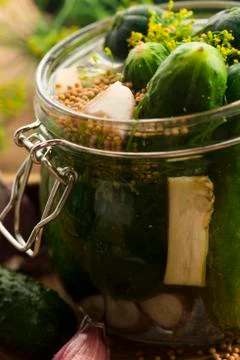 Closeup of fresh pickling cucumbers Stock Photos