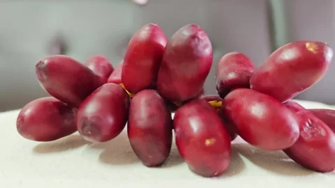 Closeup of Fresh Red Date Palm Fruits Bunches. Stock Footage 340488206
