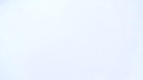 Closeup of fresh washed raspberry falling into liquid slow motion Stock Footage 63441314