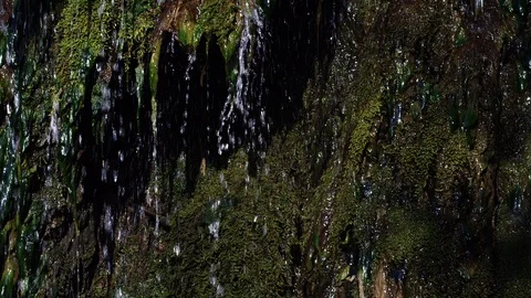 Closeup of fresh water from a small brook flowing over stones covered with moss Stock Footage 105676372