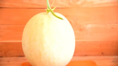 Closeup to fresh white melon on the plate Stock Footage 327109037