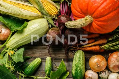 Closeup of freshly harvested vegetables Stock Photos
