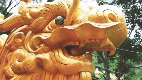 Closeup front view head of large golden dragon sculpture in artificial pond in b Stock Footage 72959401