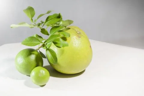 Closeup front view of round green pomelo fruit of all sizes Stock Photos