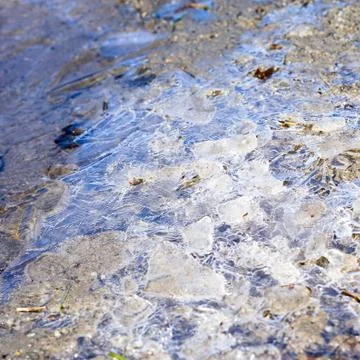 Closeup of frost patterns on muddy puddle Stock Photos