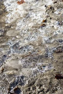 Closeup of frost patterns on muddy puddle Stock Photos
