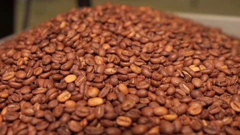 Closeup of full of roasted coffee beans box Stock Footage 170696985