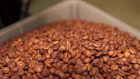 Closeup of full of roasted coffee beans box Stock Footage 170696993