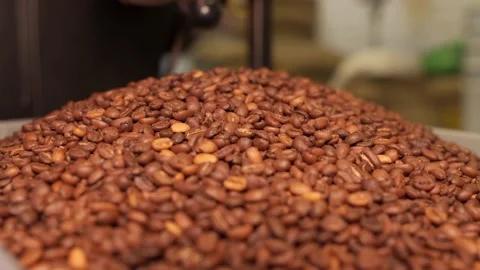 Closeup of full of roasted coffee beans box Vídeos de archivo 170696994
