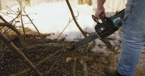 Closeup of a gardeners hands using an electric chainsaw to cut tree branches and Stock Footage 331873283