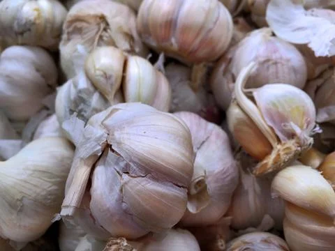 Closeup Garlic Background Stock Photos