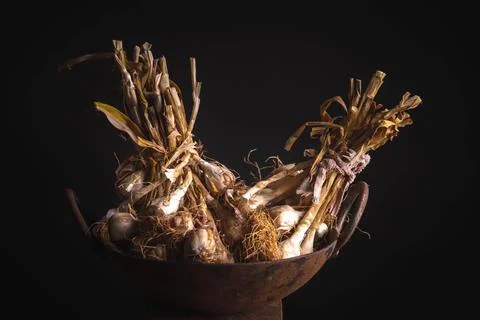 Closeup of garlic kept on a black background Fotos de archivo