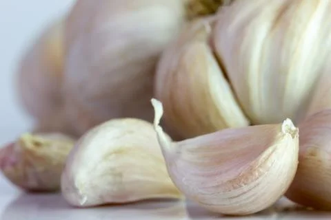 Closeup garlic on white background. Foto stock