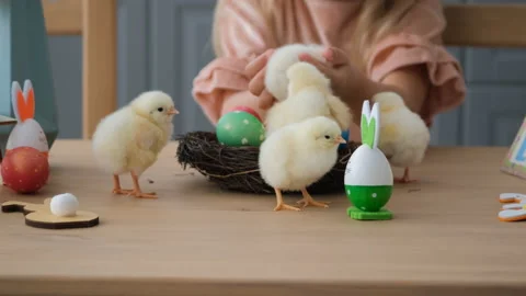 Closeup of Girl Playing with Chicks at Easter Stock Footage 168113393