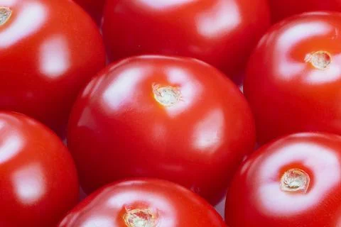 Closeup glossy cherry tomato surface detail, intense red skin, reflected highlig Stock Photos