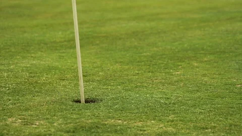 Closeup of the golf ball bouncing near the greens flagstick hole Stock Footage 129278834