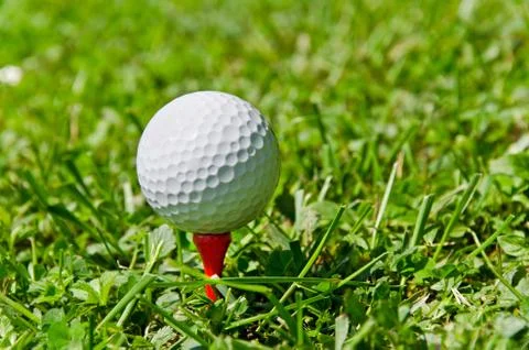 Closeup of a golf ball on the tee Stock Photos