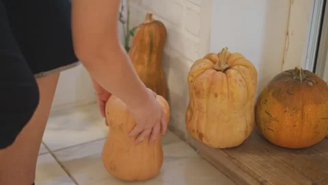 Closeup of gourds on tile with sunlight streaming through window. Cozy indoor Stock Footage 346390161