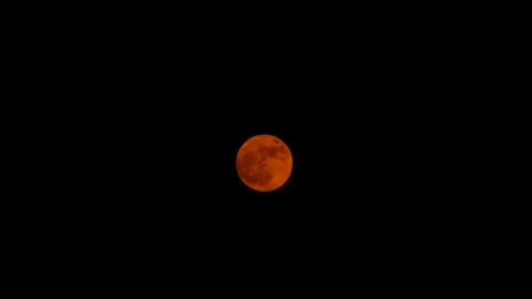 Closeup graded shot of the full moon on purnima Stock Footage 142274695