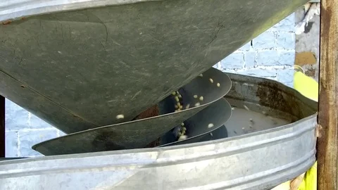 Closeup of grains cleaning machine Stock Footage 77574181