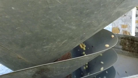 Closeup of grains cleaning machine Stock Footage 77574319