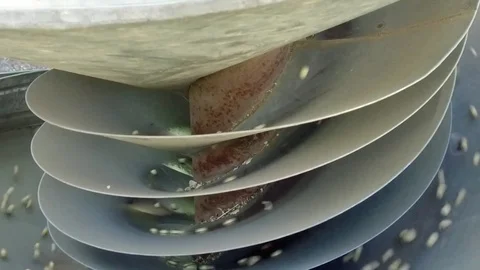 Closeup of grains cleaning machine Stock Footage 77574363