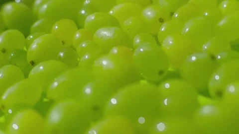 Closeup of grapes on a green background 스톡 동영상 207090322