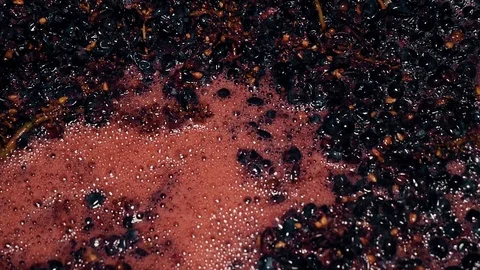 Closeup of grapes in wine making process Stock Footage 120072164