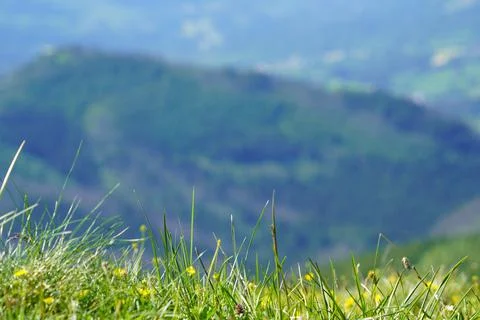 Closeup of grass in the background of the mountain Stock Photos