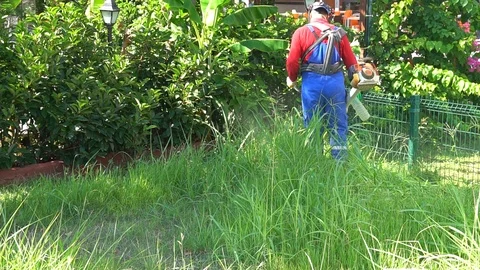 Closeup Grass Move In Wind And Gardener Man With Trimmer Cuts It Stock Footage 96607477