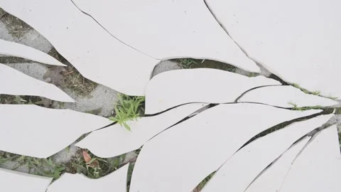 Closeup grass sprouting growing through the broken surface, natural strength. 스톡 동영상 265276307