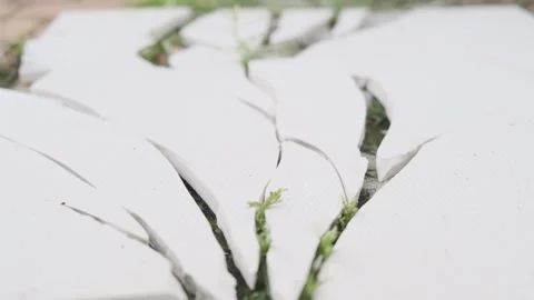 Closeup grass sprouting growing through the broken pot, natural strength, vital 스톡 동영상 265276782