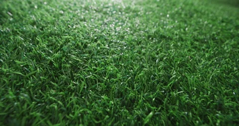 Closeup of green artificial grass, Slider shot Stock Footage 195682454