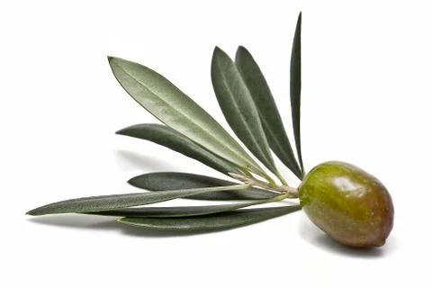 Closeup from a green olive. Stock Photos